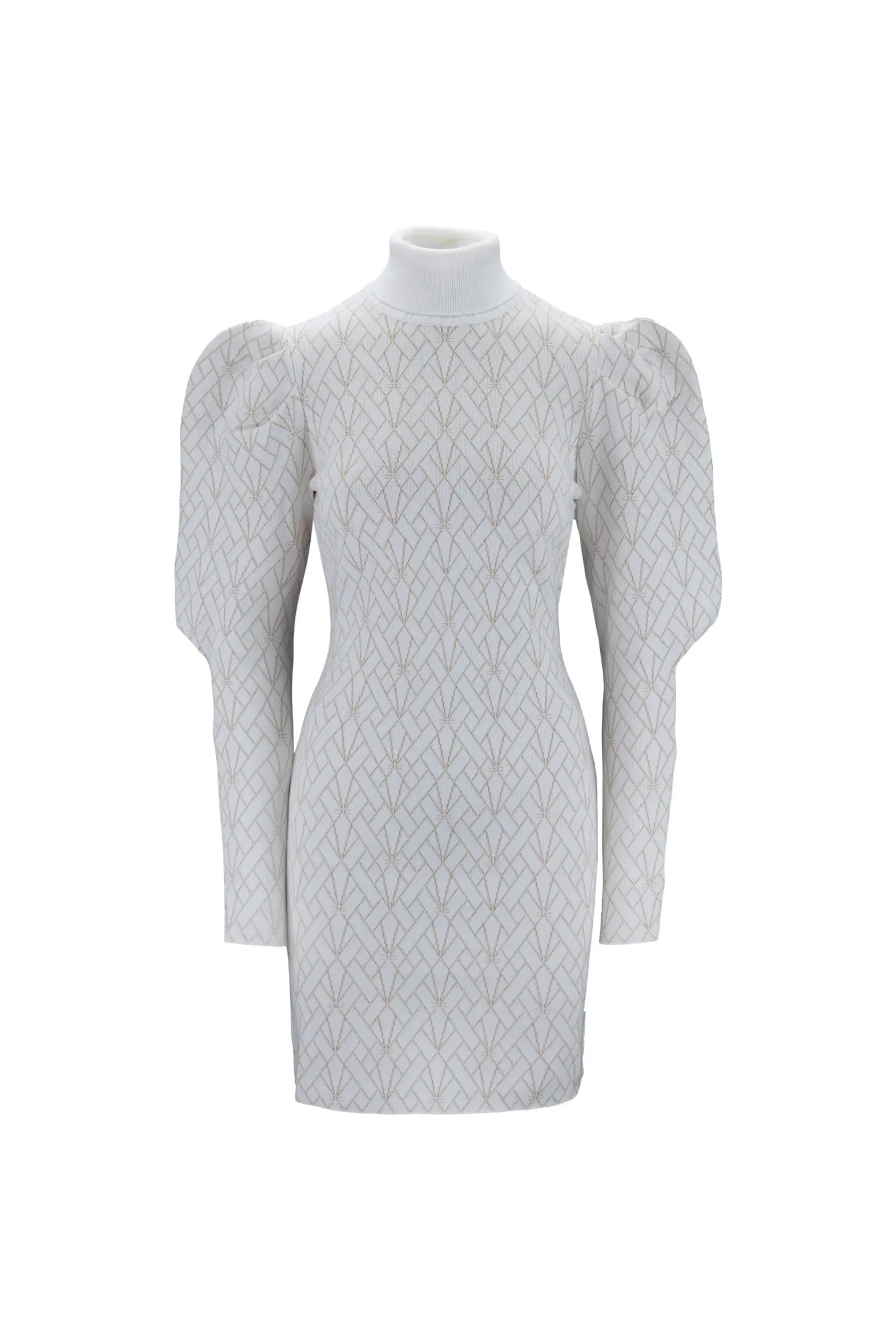 ELISABETTA FRANCHI AM36M37E2 F29 Dress